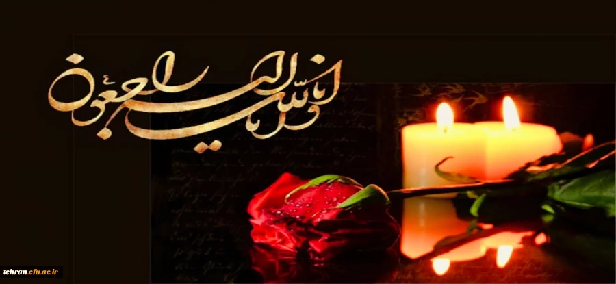 همکار گرامی جناب آقای دکتر حسین نژاد 2