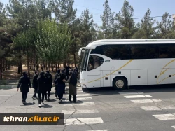 در پردیس نسیبه رخ داد: 3