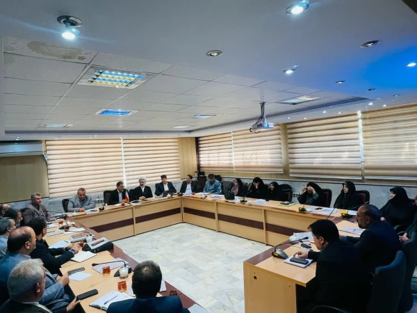 بررسی وضعیت پژوهش و اساتید اعضای هیئت علمی استان تهران با حضور معاون و مدیران کل حوزه پژوهش سازمان مرکزی 3