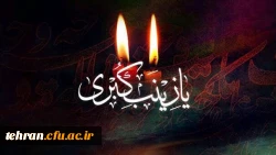 وفات حضرت زینب (س) تسلیت باد 2