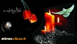 پیام تسلیت رئیس دانشگاه فرهنگیان استان تهران به همکار پردیس شهید چمران جناب آقای مشهدی عباسی 2