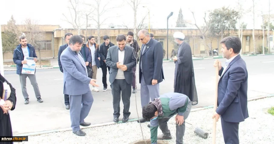 کاشت چند نهال در محوطه پردیس شهید چمران 2