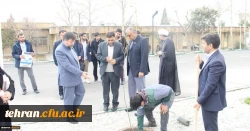 کاشت چند نهال در محوطه پردیس شهید چمران 5