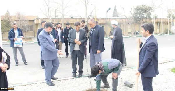 کاشت چند نهال در محوطه پردیس شهید چمران 3