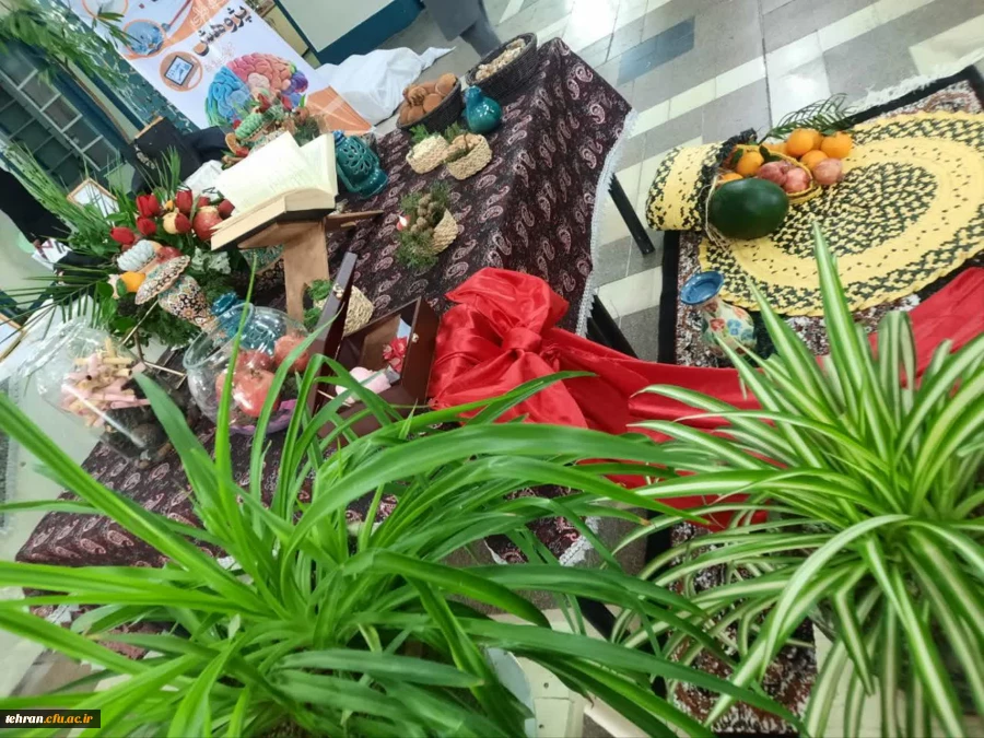 گزارش برگزاری جشنواره یلدا در دانشکده شهید باهنر

 5