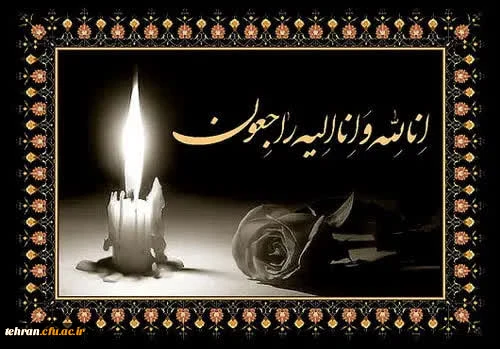 photo_2026-02-14_13-14-35